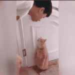 맨날 지각하는 사람 특징 이건거같음