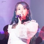 전석 매진이라는 아이유 콘서트 현황