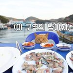 <b>쯔양</b> 먹방중에 누가 음식 훔쳐감