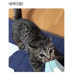 [<b>댓글</b>부탁해] 나 내일 알바 면접가는데 머리<b>상태</b>