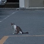 [꼭조언부탁] 대학생 용돈 30만원