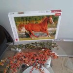 [모두드루와] 퍼즐을 왜 이런식으루 해?