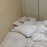 <b>고모</b>집에서 맴찢이었던거 ......