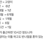 ㅋㅋㅋㅋㅋㅋㅋ미친