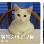 [댓글부탁해] <b>앨범명</b> 개귀여웤ㅋㅋㅋㅋ