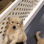 [드루와] 아 내 이목구비 너무 내 취향이고