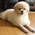 왜 다른사람이 되서 옴? ㄷㄷ