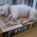 나 방금 진짜 머리가 띵해지는 말 봄 ㅜㅜ