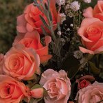 [댓글부탁해] How <b>am</b> I supposed to make you...