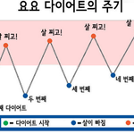 [모두드루와] <b>요요</b>와 다이어트 주기