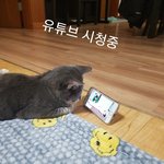 [댓글부탁해] 나만 겨울되면 담배<b>피고</b>싶어지냐