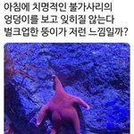 [댓글부탁해] 요리 <b>진짜</b> 못하는 <b>사람</b>이 유튜브