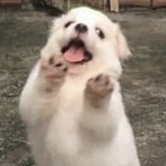 [댓글부탁해] 짝남이 좋아하는 연예인들인데 공통점이 뭘까?