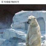 [댓글부탁해] <b>작년</b>에 6명 간 학교는 가기 힘들어?