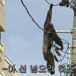 새학기 컨셉잡는다는애들 <b>존</b>⃫나⃫ <b>한심</b>해