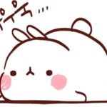 [댓글부탁해] <b>산거</b> ㅈㄴ 후회했던거 적고가라