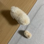 얘들아 창문열었는데 담배냄새