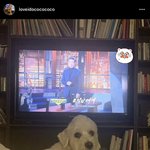 <b>정준일</b> 인스타그램 업뎃