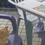 [댓글부탁해] <b>이틀</b> 전 여고 운동장에서 있었던 일