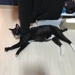 [드루와] <b>귀여</b>웡 ㅠ