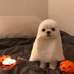남자가 볼때 예쁜 기준이 뭐<b>임</b>