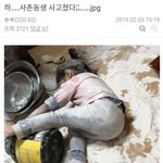 알바 <b>최저</b>시급 질문