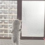 [댓글부탁해] 짝<b>남</b> 몇<b>시간</b>째