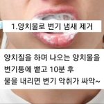 <b>골격</b>이너무 작아