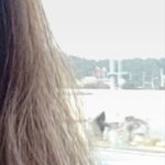 [댓글부탁해] 머리<b>색</b> <b>뭔</b> <b>색</b>임
