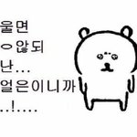 판에서 쓸만한 사진 <b>올림</b>
