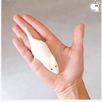 이거 첨 앎 ㄷㄷㄷㄷ