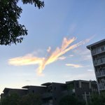 [모두드루와] 이거 주작 아님???