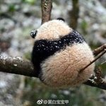 [드루와] 노래 추천해준다 <b>팝송</b>임