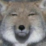 인스타 맞팔할 <b>판남</b>