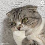 [댓글부탁해] 쌍수 4일 부분<b>마취</b>