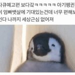 [드루와] 너네는 <b>지효</b>가 했던 말 어케 생각해