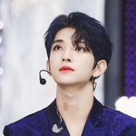 [세븐틴] <b>프린</b>슈