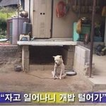[드루와] 남자랑 <b>맞짱</b> 떠본 사람 있냐