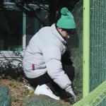 [드루와] <b>사나</b>고 존귀ㅠ