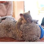 [모두드루와] 이거 왜케 슬프지?...