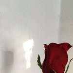 [댓글부탁해] 얘드라 새학기