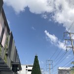 [<b>화력</b>살리기] 여기 댓글 잘달려서 좋음