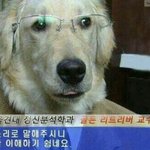 방금 카페에서 전남친한테 저격먹음 ㅠㅠㅠㅠㅠ