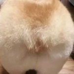 [19] <b>빛삭</b>