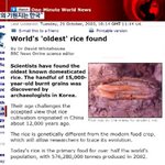 [드루와] 와 쌀의 최초의 기원이 한국이래;