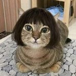 경남 <b>자퇴</b>생 중에 연락 하고 지낼 사람 ㅜㅜ