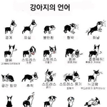 나 오늘 남사친한테 쪼매 <b>감동</b>받앗다