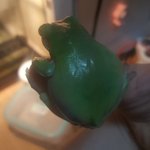 [댓글부탁해] 이 개구리 왝케 <b>찐빵</b>처럼 생김