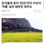 [모두드루와] 제주도 날씨 근황