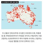 [모두드루와] 호주 현재상황 실화냐